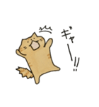 茶トラねこスタンプ（個別スタンプ：12）