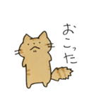 茶トラねこスタンプ（個別スタンプ：36）