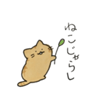 茶トラねこスタンプ（個別スタンプ：37）
