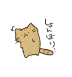 茶トラねこスタンプ（個別スタンプ：39）