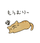 茶トラねこスタンプ（個別スタンプ：40）