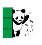 方言パンダ（長崎弁）（個別スタンプ：37）