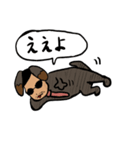 ヤジ犬（個別スタンプ：13）