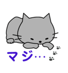 Maro and friends☆LOVE☆かわいい猫（個別スタンプ：21）