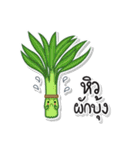 TAM-SUNG（個別スタンプ：16）