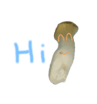 キノコの人々 日常会話（個別スタンプ：1）