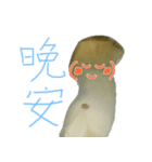 キノコの人々 日常会話（個別スタンプ：6）