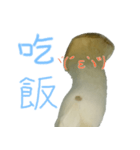 キノコの人々 日常会話（個別スタンプ：7）