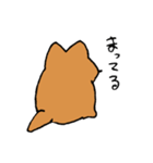実家のジョン（個別スタンプ：6）