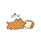 実家のジョン（個別スタンプ：12）