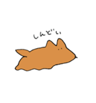 実家のジョン（個別スタンプ：21）