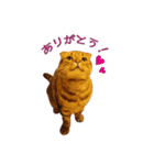 Funny Cats vol.1（個別スタンプ：8）