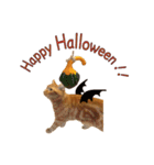 Funny Cats vol.2（個別スタンプ：14）