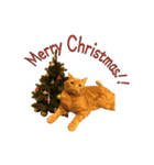 Funny Cats vol.2（個別スタンプ：16）