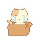 Pau Pau the Cat（個別スタンプ：31）