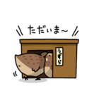 うずらスタンプ（個別スタンプ：21）