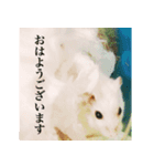 ハムスタースタンプ 遊び編（個別スタンプ：1）