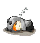 KUMA-PANPAN（個別スタンプ：37）