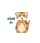 MeowMe Debut（個別スタンプ：9）