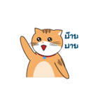 MeowMe Debut（個別スタンプ：13）