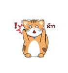 MeowMe Debut（個別スタンプ：15）