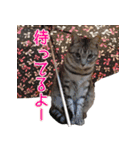 みるくこーひー（個別スタンプ：11）