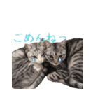 みるくこーひー（個別スタンプ：19）