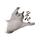 みるくこーひー（個別スタンプ：30）