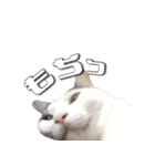 みるくこーひー（個別スタンプ：31）