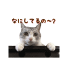みるくこーひー（個別スタンプ：35）