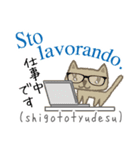 可愛い猫のイタリア語と日本語(5)（個別スタンプ：8）