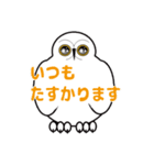 Cute owl sticker（個別スタンプ：5）