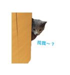 Toro＆Leo（個別スタンプ：3）