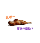 Toro＆Leo（個別スタンプ：5）