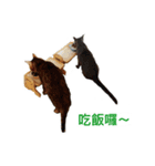 Toro＆Leo（個別スタンプ：6）