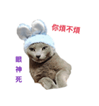 Toro＆Leo（個別スタンプ：8）