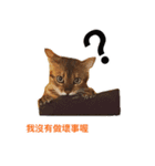 Toro＆Leo（個別スタンプ：9）