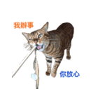 Toro＆Leo（個別スタンプ：10）