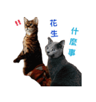 Toro＆Leo（個別スタンプ：12）