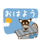 わんわん チワワ 犬のスタンプ（個別スタンプ：3）