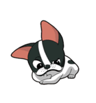 Kooger, The Dog（個別スタンプ：1）