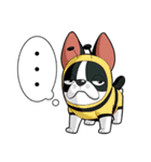 Kooger, The Dog（個別スタンプ：4）