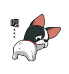 Kooger, The Dog（個別スタンプ：5）