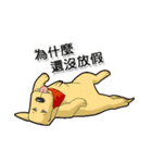 Kooger, The Dog（個別スタンプ：6）