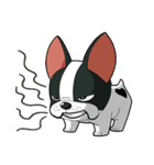 Kooger, The Dog（個別スタンプ：11）