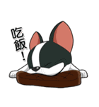 Kooger, The Dog（個別スタンプ：12）