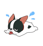 Kooger, The Dog（個別スタンプ：21）