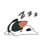 Kooger, The Dog（個別スタンプ：23）