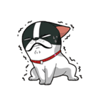 Kooger, The Dog（個別スタンプ：30）