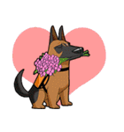 Kooger, The Dog（個別スタンプ：31）